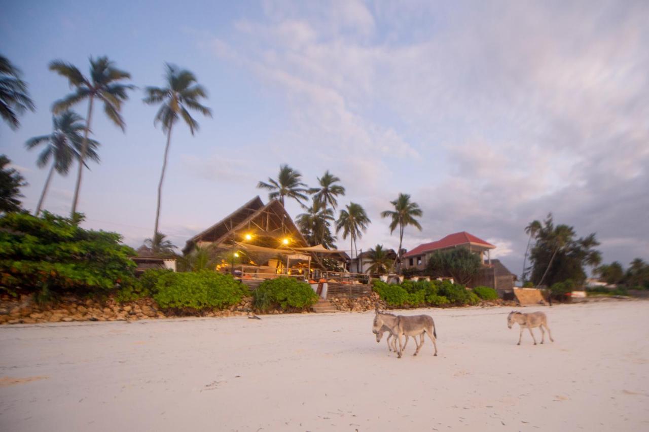 Villa Kiva Boutique Hotel Matemwe  Exterior photo